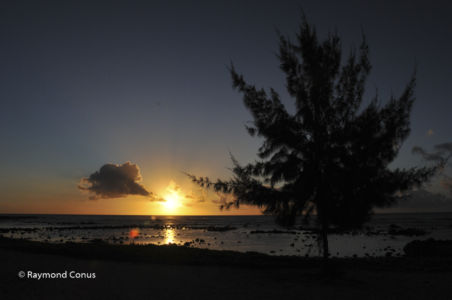 Mauritius (41)