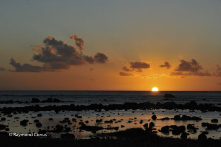 Mauritius (42)