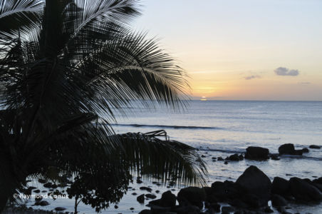 Mauritius (46)