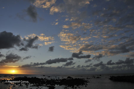 Mauritius (4)