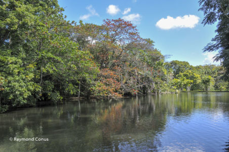 Mauritius (9)