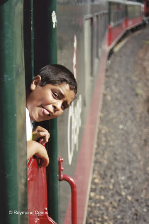 Mexicans (12)