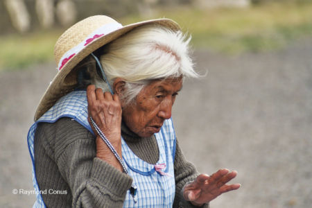Mexicans (26)