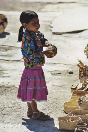 Mexicans (31)