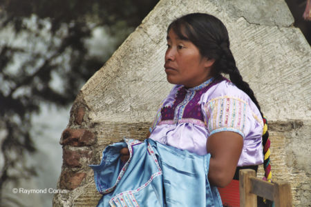 Mexicans (41)