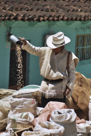 Mexique (14)