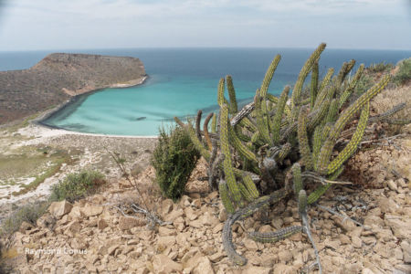 Mexique (46)