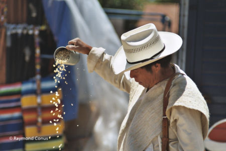 Mexique (13)