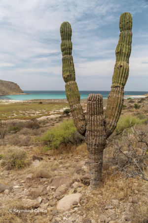 Mexique (32)