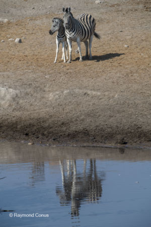 Namibia (104)