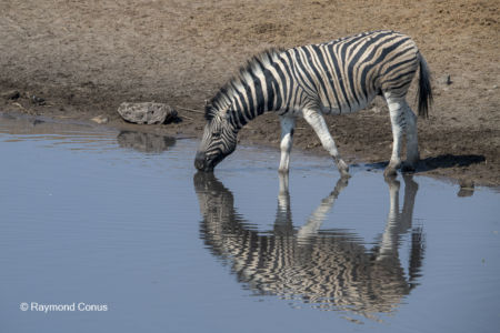 Namibia (106)