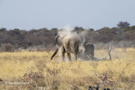 Namibia (109)