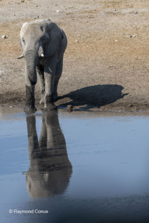 Namibia (111)