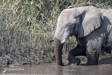 Namibia (112)