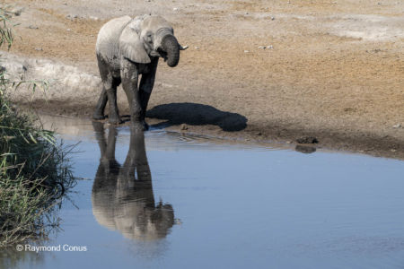 Namibia (113)