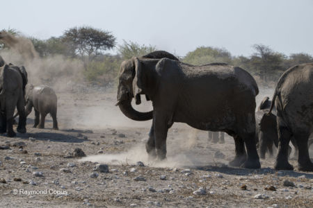 Namibia (114)