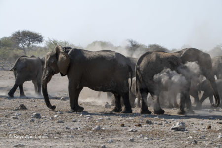 Namibia (115)