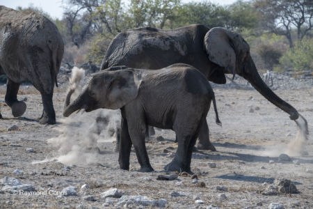 Namibia (116)