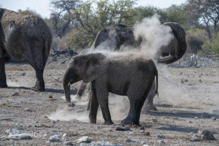 Namibia (117)