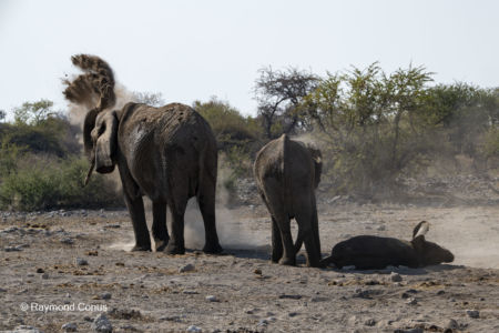 Namibia (118)