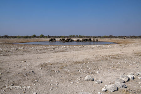 Namibia (120)