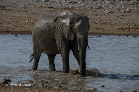 Namibia (121)