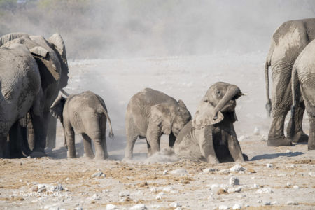 Namibia (123)