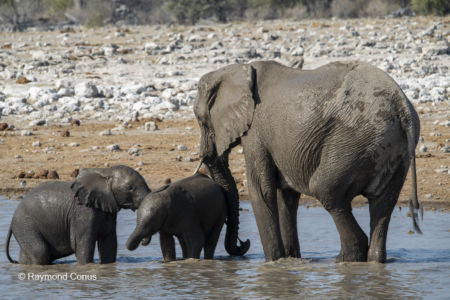 Namibia (124)