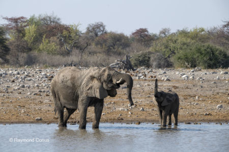 Namibia (126)