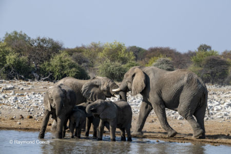 Namibia (127)