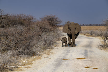 Namibia (128)