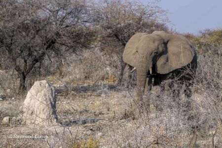 Namibia (129)