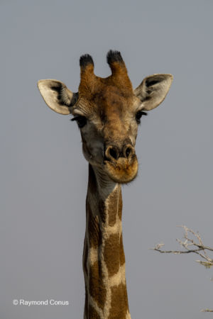 Namibia (12)