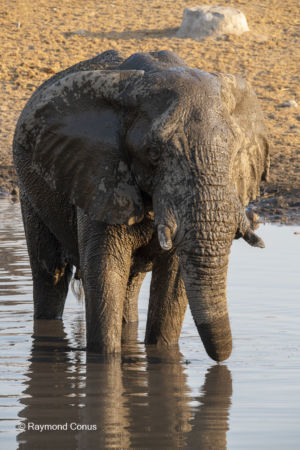 Namibia (133)