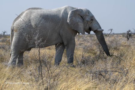 Namibia (138)