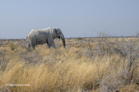 Namibia (139)