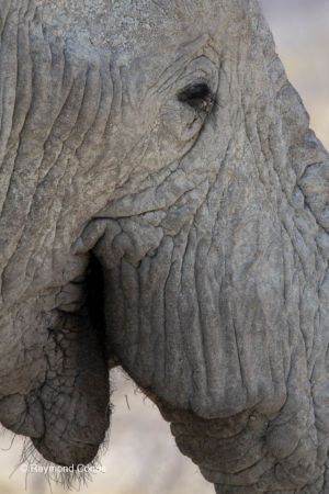 Namibia (140)