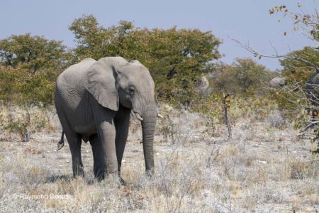 Namibia (142)