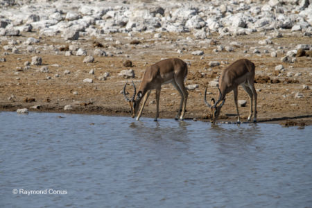 Namibia (143)