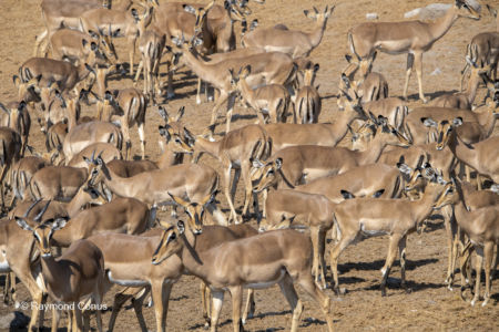 Namibia (148)