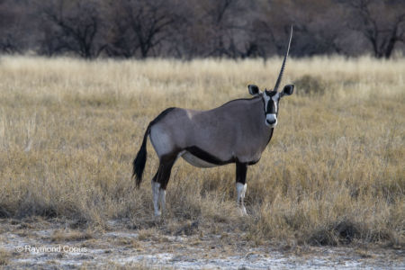 Namibia (152)