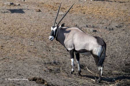 Namibia (154)