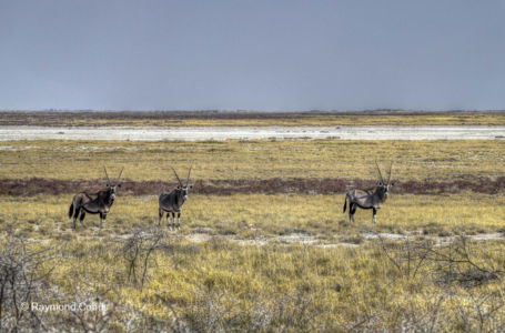 Namibia (157)