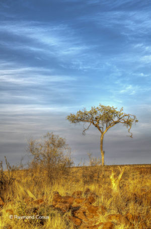 Namibia (176)