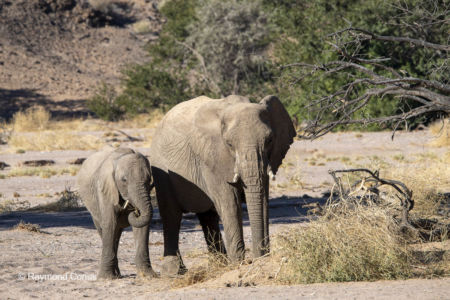 Namibia (198)