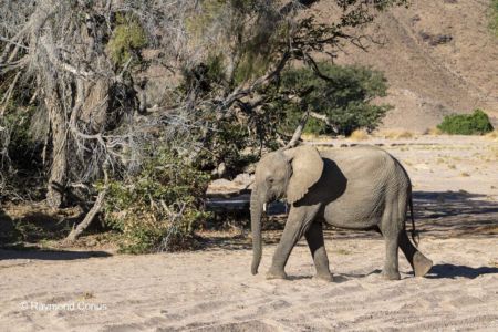 Namibia (202)