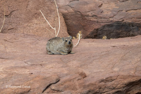 Namibia (219)