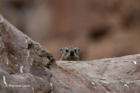 Namibia (221)