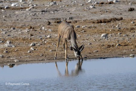Namibia (22)