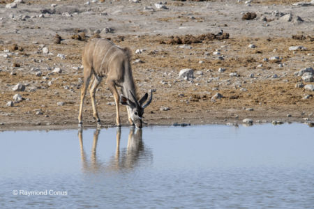 Namibia (23)